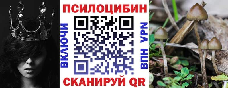 Псилоцибиновые грибы MAGIC MUSHROOMS  Менделеевск 