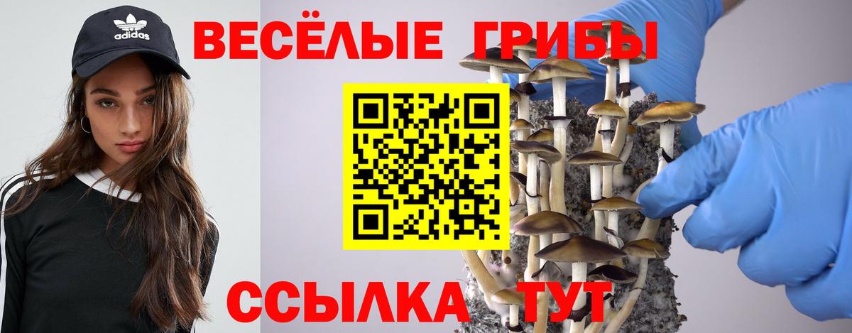 КОКАИН  ГАШИШ  Менделеевск  Мефедрон кристаллы  ГАШИШ  Вход с VPN 