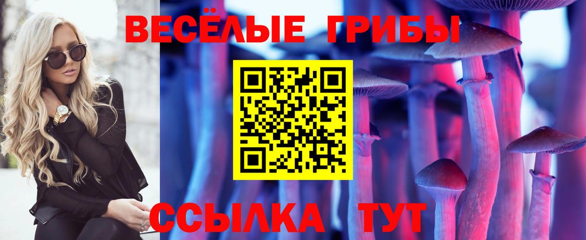 Галлюциногенные грибы Cubensis Менделеевск